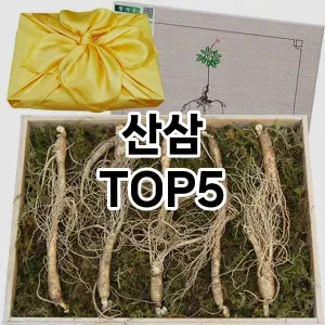 산삼 필수템! 이번 시즌을 위한 베스트 Top 5 산삼 추천!