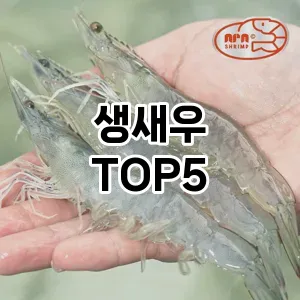 생새우 필수템! 이번 시즌을 위한 베스트 Top 5 생새우 추천!