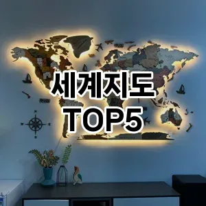 세계지도 필수템! 이번 시즌을 위한 베스트 Top 5 세계지도 추천!