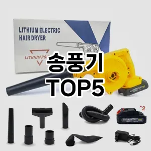 송풍기 필수템! 이번 시즌을 위한 베스트 Top 5 송풍기 추천!
