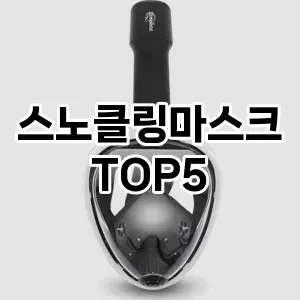 스노클링마스크 필수템! 이번 시즌을 위한 베스트 Top 5 스노클링마스크 추천!