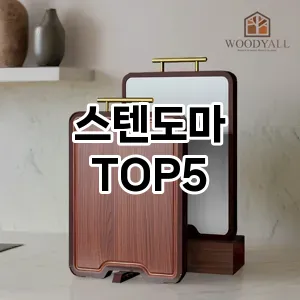 스텐도마 필수템! 이번 시즌을 위한 베스트 Top 5 스텐도마 추천!
