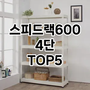 스피드랙6004단 필수템! 이번 시즌을 위한 베스트 Top 5 스피드랙6004단 추천!
