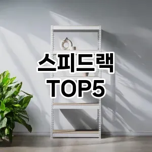 스피드랙 필수템! 이번 시즌을 위한 베스트 Top 5 스피드랙 추천!