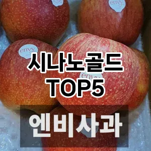 시나노골드 필수템! 이번 시즌을 위한 베스트 Top 5 시나노골드 추천!