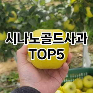 시나노골드사과 필수템! 이번 시즌을 위한 베스트 Top 5 시나노골드사과 추천!
