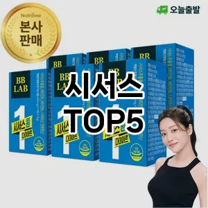 시서스 필수템! 이번 시즌을 위한 베스트 Top 5 시서스 추천!