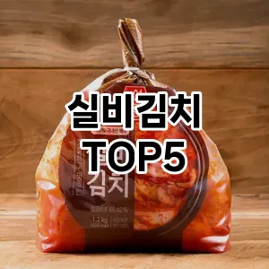 실비김치 필수템! 이번 시즌을 위한 베스트 Top 5 실비김치 추천!