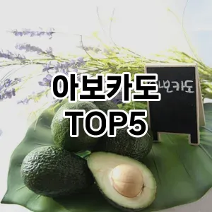 아보카도 필수템! 이번 시즌을 위한 베스트 Top 5 아보카도 추천!