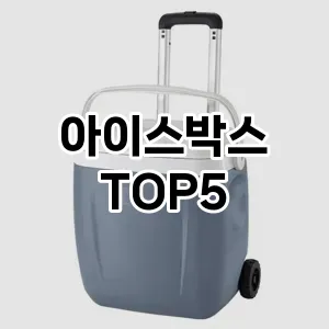 아이스박스 필수템! 이번 시즌을 위한 베스트 Top 5 아이스박스 추천!