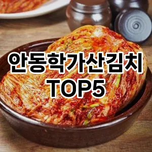 안동학가산김치 필수템! 이번 시즌을 위한 베스트 Top 5 안동학가산김치 추천!