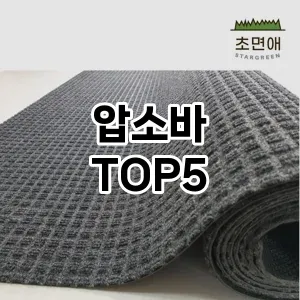 압소바 필수템! 이번 시즌을 위한 베스트 Top 5 압소바 추천!