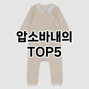 압소바내의 필수템! 이번 시즌을 위한 베스트 Top 5 압소바내의 추천!