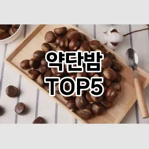 약단밤 필수템! 이번 시즌을 위한 베스트 Top 5 약단밤 추천!