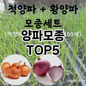 양파모종 필수템! 이번 시즌을 위한 베스트 Top 5 양파모종 추천!