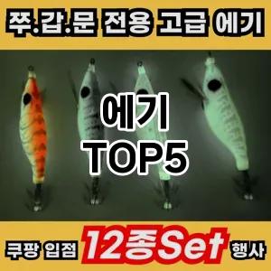 에기 필수템! 이번 시즌을 위한 베스트 Top 5 에기 추천!