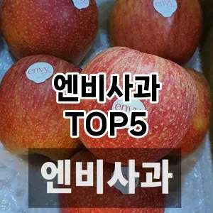 엔비사과 필수템! 이번 시즌을 위한 베스트 Top 5 엔비사과 추천!
