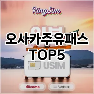 오사카주유패스 필수템! 이번 시즌을 위한 베스트 Top 5 오사카주유패스 추천!