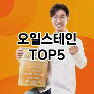 오일스테인 필수템! 이번 시즌을 위한 베스트 Top 5 오일스테인 추천!