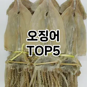 오징어 필수템! 이번 시즌을 위한 베스트 Top 5 오징어 추천!