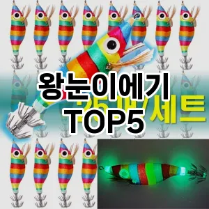 왕눈이에기 필수템! 이번 시즌을 위한 베스트 Top 5 왕눈이에기 추천!