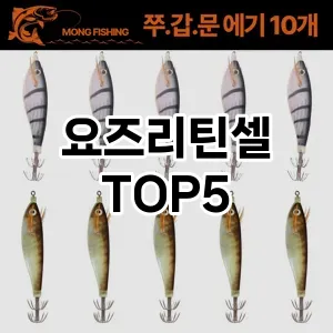 요즈리틴셀 필수템! 이번 시즌을 위한 베스트 Top 5 요즈리틴셀 추천!