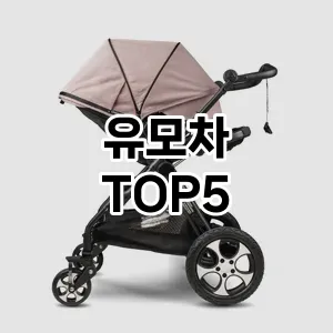 유모차 필수템! 이번 시즌을 위한 베스트 Top 5 유모차 추천!
