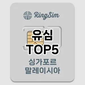 유심 필수템! 이번 시즌을 위한 베스트 Top 5 유심 추천!