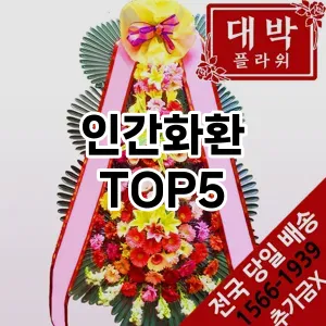 인간화환 필수템! 이번 시즌을 위한 베스트 Top 5 인간화환 추천!