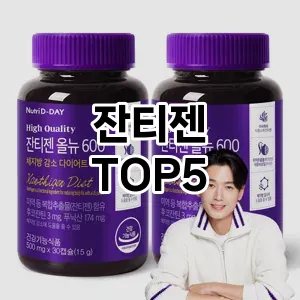 잔티젠 필수템! 이번 시즌을 위한 베스트 Top 5 잔티젠 추천!