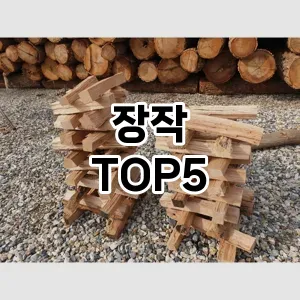 장작 필수템! 이번 시즌을 위한 베스트 Top 5 장작 추천!