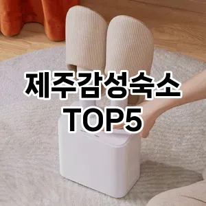 제주감성숙소 필수템! 이번 시즌을 위한 베스트 Top 5 제주감성숙소 추천!