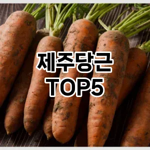 제주당근 필수템! 이번 시즌을 위한 베스트 Top 5 제주당근 추천!