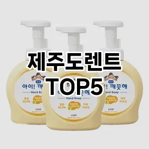 제주도렌트 필수템! 이번 시즌을 위한 베스트 Top 5 제주도렌트 추천!