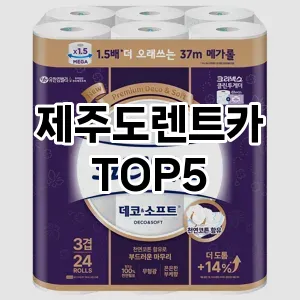 제주도렌트카 필수템! 이번 시즌을 위한 베스트 Top 5 제주도렌트카 추천!