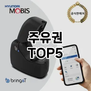 주유권 필수템! 이번 시즌을 위한 베스트 Top 5 주유권 추천!