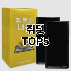 쥐덫 필수템! 이번 시즌을 위한 베스트 Top 5 쥐덫 추천!