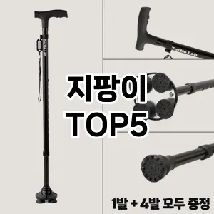 지팡이 필수템! 이번 시즌을 위한 베스트 Top 5 지팡이 추천!