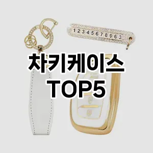 차키케이스 필수템! 이번 시즌을 위한 베스트 Top 5 차키케이스 추천!