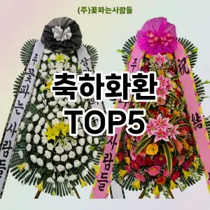 축하화환 필수템! 이번 시즌을 위한 베스트 Top 5 축하화환 추천!