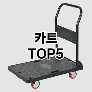 카트 필수템! 이번 시즌을 위한 베스트 Top 5 카트 추천!