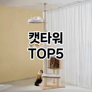 캣타워 필수템! 이번 시즌을 위한 베스트 Top 5 캣타워 추천!