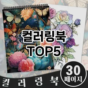컬러링북 필수템! 이번 시즌을 위한 베스트 Top 5 컬러링북 추천!