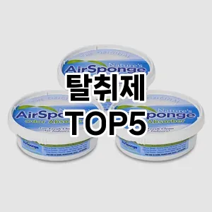 탈취제 필수템! 이번 시즌을 위한 베스트 Top 5 탈취제 추천!