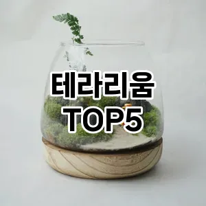 테라리움 필수템! 이번 시즌을 위한 베스트 Top 5 테라리움 추천!