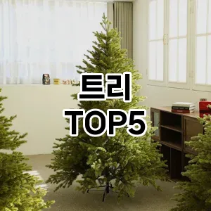 트리 필수템! 이번 시즌을 위한 베스트 Top 5 트리 추천!