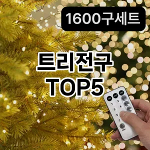 트리전구 필수템! 이번 시즌을 위한 베스트 Top 5 트리전구 추천!