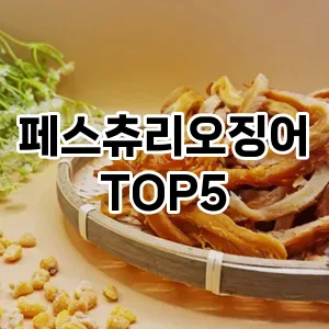페스츄리오징어 필수템! 이번 시즌을 위한 베스트 Top 5 페스츄리오징어 추천!