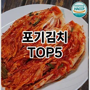 포기김치 필수템! 이번 시즌을 위한 베스트 Top 5 포기김치 추천!