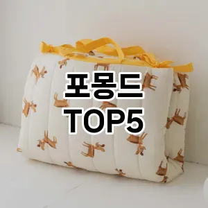 포몽드 필수템! 이번 시즌을 위한 베스트 Top 5 포몽드 추천!